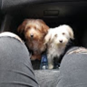 Meet your Posher, Desiree